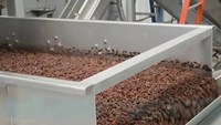 Ligne de processus complètement automatique de 2000 kg pour la manipulation des aliments