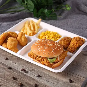 Gratis Monster Wegwerp Grote Bagasse Lunch Trays 5 Compartiment Voedsel Lade Biologisch Afbreekbaar