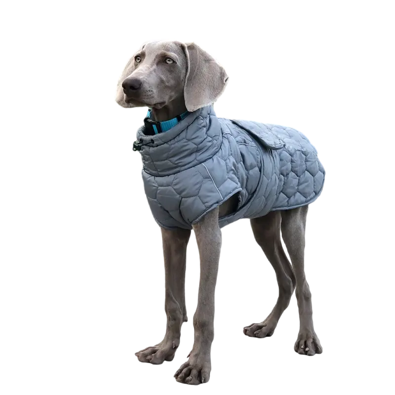 Fornitore di vestiti per animali domestici cappotto invernale isolato impermeabile stile sportivo per cani giacca invernale calda produttore di abbigliamento per animali domestici