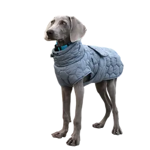 Proveedor de ropa para mascotas Abrigo de invierno con aislamiento impermeable Estilo deportivo para perros Chaqueta cálida de invierno Fabricante de ropa para mascotas