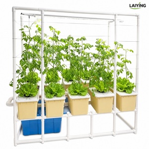 Soilless Dutch Bucket System for Eggplant Black <strong>Hydroponic</strong> Bucket 1 Set for <strong>Peppers</strong> With Top Drip Kit Drainage - Product Image 2