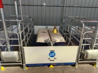 Cage pour cochons d'occasion, matériel de galvanisation par trempage à chaud, Cages de chine, matériel agricole pour cochons des Philippines, Offre Spéciale