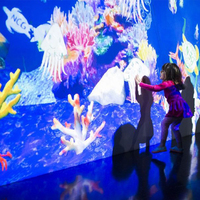Sistema Interactivo de Pintura Mural, Pantalla Táctil de Proyección, Juego Interactivo de Dibujo para Jardín de Niños