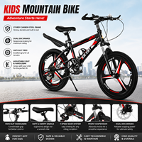 Vélo de montagne pour enfants 20 pouces, frein à disque, fourche amortissante intégrée, pneus antidérapants, idéal pour le sport en plein air