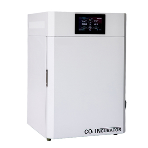 Incubateur CO2 en acier inoxydable pour la <span class=keywords><strong>culture</strong></span> cellulaire, tissulaire et la <span class=keywords><strong>culture</strong></span> bactérienne – Produit Co - Product Image 1