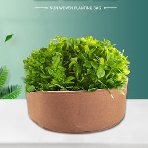 Pots en tissu non tissé écologique 10, 15, 30, 40, 50, 100, 200 gallons, pour plantation de légumes, fleurs, <span class=keywords><strong>myrtille</strong></span>, arbres - Product Image 2