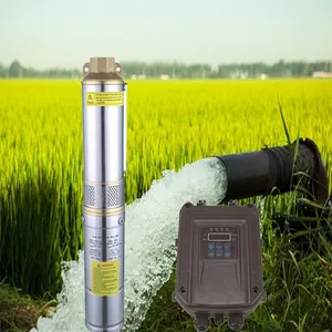 Dc Deep Well Solar Borehole Agricultural Water Pump High Flow Solar Water Pump