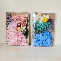 Grosir harga murah bingkai foto seni kuku DIY tas bahan bunga kering tas bunga kering alami asli untuk membuat lilin wangi