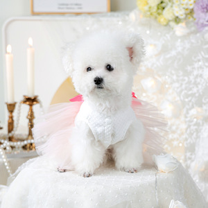 PETCIRCLE Ropa de Primavera/Verano para Perros y Gatos, Faldas de Tul Estilo Donut - Product Image 3