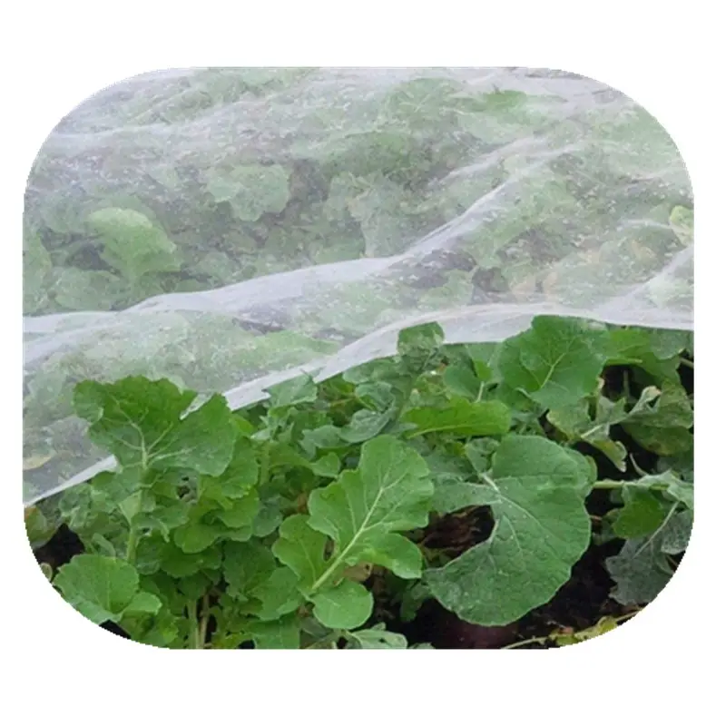 easy purchase 100gsm Anti Insect for agriculture