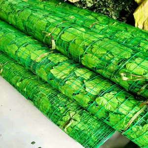 Malla de Protección Ecológica Bionic Green Leaf Netting de Material PP Modelo 229 para Protección de Taludes Montañosos y Restauración Minera - Product Image 4