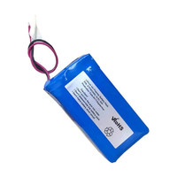 Batteries au lithium-ion rechargeables industrielles OEM 803464 14,8V 4S1P 2000mAh pour enceinte Bluetooth
