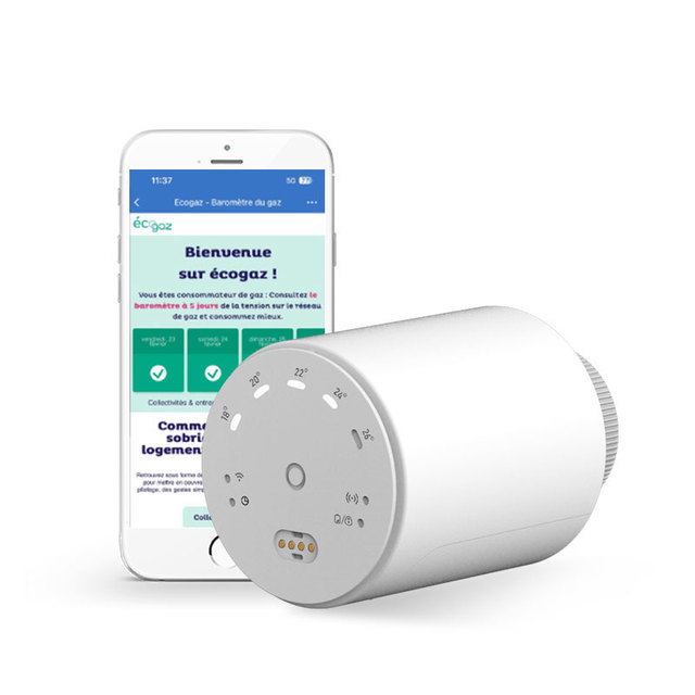 Ecogaz Smart Radiator Thermostat | EN 12098-3 Compliance | OEM/ODM Support | Hotel Use | Industrial | Hydronic Heating | 2-Year