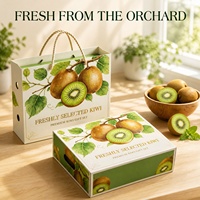 Vers geselecteerde kiwi geschenkverpakking met touwhandvat, op maat gemaakte saliegroene kartonnen fruitverpakking, groothandel