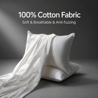 Coussin de voyage populaire avec garnissage en duvet 910g, housse en coton 500TC, hypoallergénique, écologique, toutes saisons, pour hôtel et maison, personnalisable