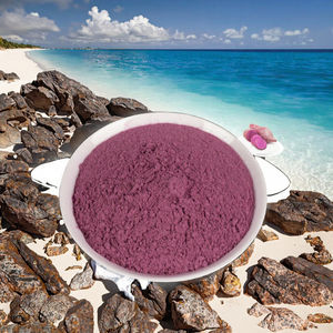 โรงงานผลิตผงมันม่วงออร์แกนิคเกรดอาหาร ราคาขายส่ง สารสกัดสมุนไพรธรรมชาติ WELLNATURE WN-PY422 บรรจุภัณฑ์แบบถังสุญญากาศ - Product Image 3