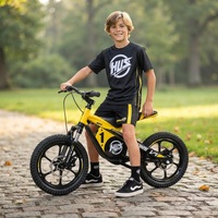 Vélo de course pour enfants en gros, mini moto tout-terrain avec fourche à suspension avant, moteur brushless 653W, cadre en alliage d'aluminium, directement de l'usine