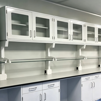 Table de laboratoire en acier à prix de gros avec plateau en résine époxy et armoire de rangement pour laboratoire de microbiologie