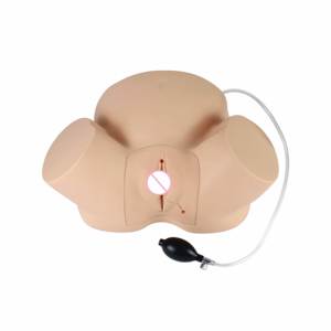 Modèle anatomique humain en PVC pour la formation scientifique médicale avancée, simulateur d'accouchement en cas de dystocie, mannequin de sage-femme, école de médecine - Product Image 2