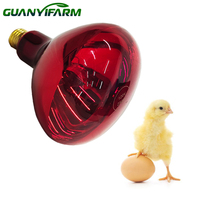 Ampoule chauffante infrarouge étanche E27 100W 150W 250W R125 pour l'élevage de volailles, poulets, porcelets et reptiles