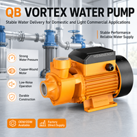 Pompe à eau auto-amorçante à vortex haute pression pour l'irrigation agricole et le surpressionnement de l'eau du robinet domestique pour eau propre et chaude