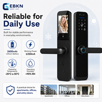 EBKN 3D Gezichtsherkenning Slimme Deurvergrendeling met Camera, Tuya App Besturing, Geheugenkaart Opslag, Geschikt voor Stalen Deuren