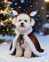 Costumes de Noël pour chiens - Design confortable de renne pour chiens de petite/moyenne/grande taille |   Vêtements pour animaux de compagnie pour séance photo de fête de Noël