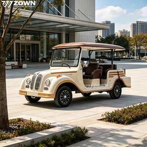 Voiture électrique vintage haut de gamme personnalisée pour le transfert de clients en station balnéaire, avec système de freinage sécurisé, idéale pour la visite touristique. - Product Image 1