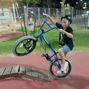 Bisiklet 20 inç profesyonel bisiklet tam bmx türleri bisiklet bisiklet parkurları Bmx ly bmx bisiklet