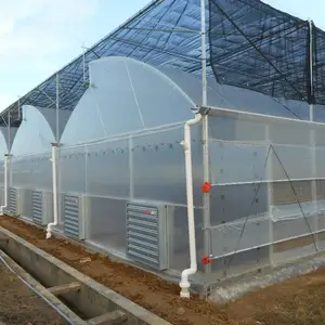 प्लास्टिक फिल्म सब्जी कृषि ग्रीनहाउस बढ़ रही बड़े मात्रा ग्रीन हाउस के लिए गर्म बिक्री