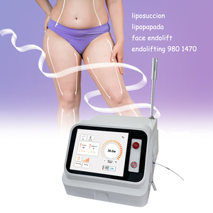 Láser Endolift Portátil de 980nm de Alta Potencia para Terapia Física, Eliminación de Hongos <span class=keywords><strong>en</strong></span> las Uñas y Arañas Vasculares - Product Image 1