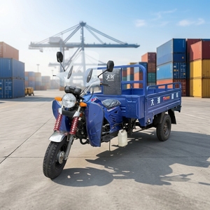 Tricycles motorisés 200cc à refroidissement par air, tricycles à essence à trois roues, tricycles de transport de marchandises - Product Image 1