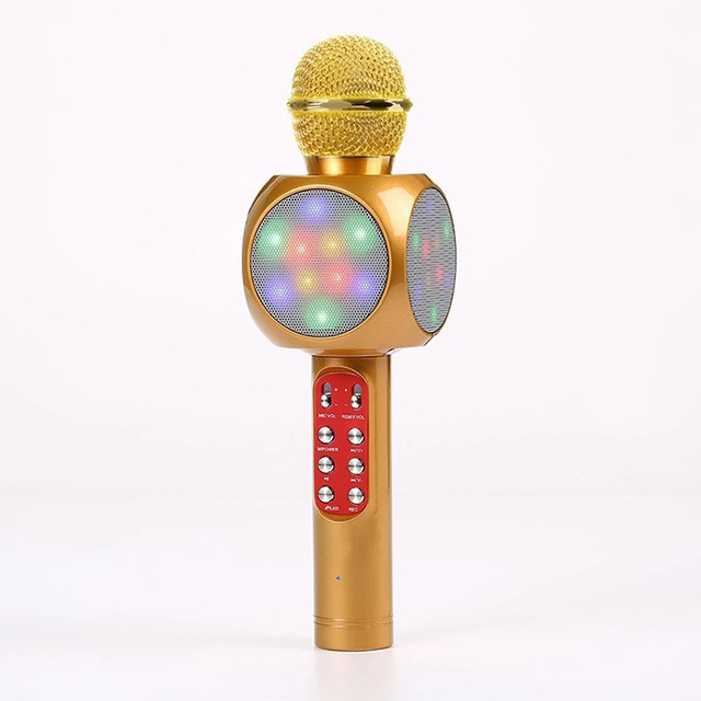Home Use Wireless Microphone With Built in Speaker Compatible With Phone and TV