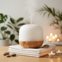 Diffuseur d'arômes professionnel 250 ml en PP, purificateur d'air et humidificateur, fabrication de qualité