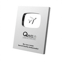 Trophée personnalisé en argent métallique pour médias sociaux, plaque élégante en miroir