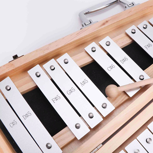 Xylophone éducatif Montessori pour enfants de 5 à 7 ans, 25 notes, <span class=keywords><strong>jouet</strong></span> musical d'apprentissage avec 15 gammes, en métal - Product Image 1