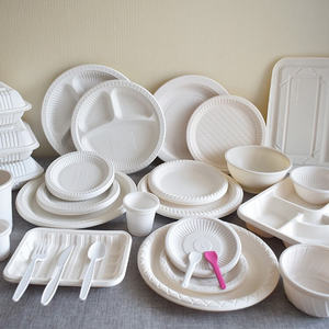 Disposable Plates Bulk Tray