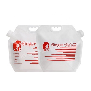 Custom 5L Plastic Water Bag Stand up Pouch with Spout for Food & Liquid Pack Coffee & Tea