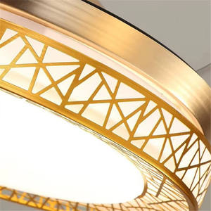 Modern <strong>Gold</strong> <strong>Bird</strong> <strong>Nest</strong> LED Ceiling Fan Light Remote Control Fashionable Dining Living Room Chandelier Plastic Factory Wholesale - Product Image 5
