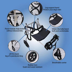 Fauteuil roulant d'<span class=keywords><strong>occasion</strong></span> <span class=keywords><strong>pour</strong></span> grands chiens, pattes arrière, 2 à 4 roues, fauteuil roulant en aluminium, fauteuil roulant réglable <span class=keywords><strong>pour</strong></span> chiens de grande race - Product Image 6