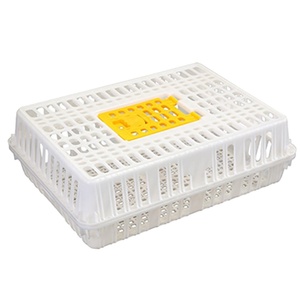 live chicken transport cage chick turnover box poultry plastic transport crate for chicken