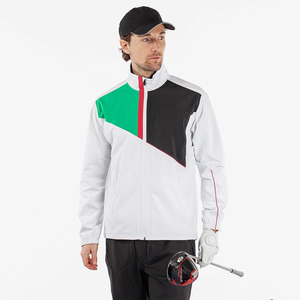 Sweat à capuche personnalisé de luxe Dry Fit pour hommes Performance Active Sweat-shirt coréen doux à fermeture éclair avec motif solide Pull de golf - Product Image 5