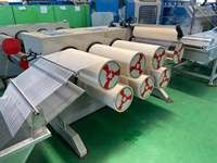 Machine d'extrusion de fil monofilament pour filet d'ombrage en PP, HDPE, PET avec enrouleur de bobines et enrouleur de faisceaux pour olive