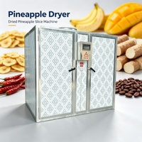 Commerciële mangodroogmachine voor Afrikaanse gedroogde mangoschijfjes