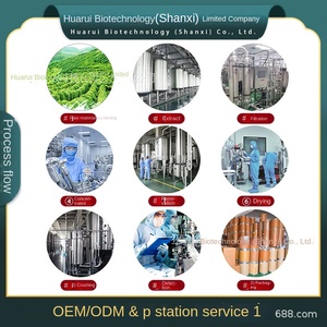 Kuersetin Çoklu Özellikli Sophora Japonica Özü Kuersetin Esansı İnce Toz 117-39-5 Kuersetin Dihidrat Çin Diğer - Product Image 4