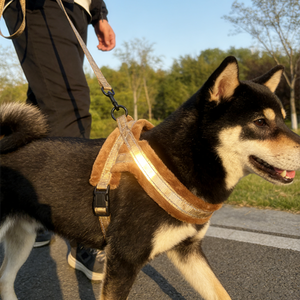 애완동물 하네스 탈착식 천연 가죽 솔리드 퍼 리쉬 세트 배변 봉투 디자이너 안전 버클 맞춤형 럭셔리 노 풀 도그 - Product Image 4