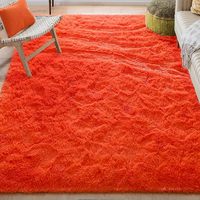Grand Tapis Moelleux Blanc Lavable en Machine Moderne de Luxe Doux Décoratif en Fausse Fourrure de Lapin pour Salon et Chambre