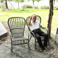 Chaises en plastique PP de loisirs, chaises de jardin, utilisé pour l'été