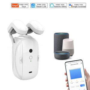 Điều khiển từ xa/thông minh Wifi điện rèm động cơ cho Roman rods-Điều khiển bằng giọng nói & tuya ứng dụng - Product Image 5