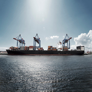 Transporte Marítimo Profesional FCL Puerta a Puerta a <span class=keywords><strong>Mumbai</strong></span> desde China - Product Image 6